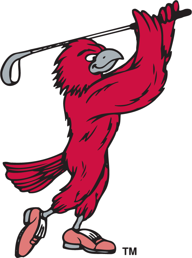 St. Joseph's Hawks 1995-2002 Secondary Logo v3 t shirts iron on transfers